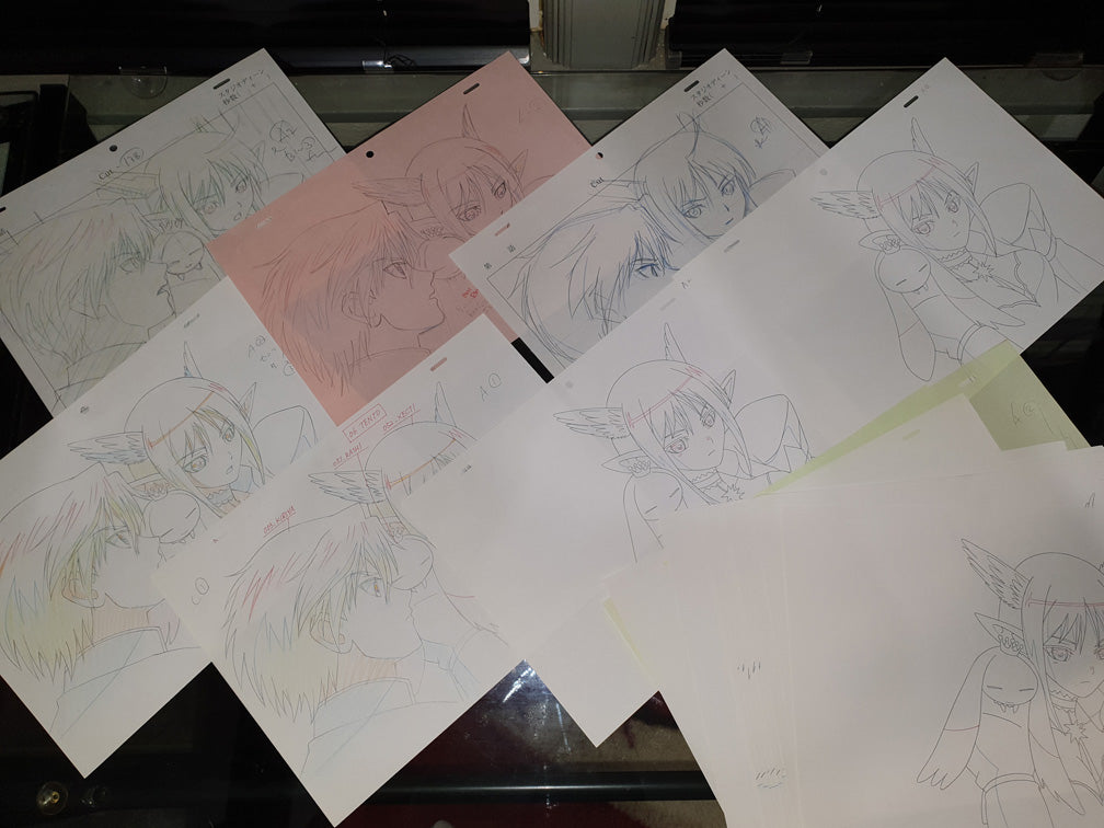 Shining Tears X Wind - 24 piece genga / douga set - Elwyn